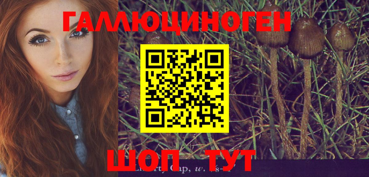Псилоцибиновые грибы мицелий Йошкар-Ола